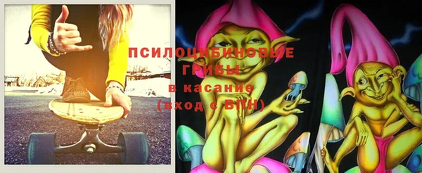 прущие грибы Армянск