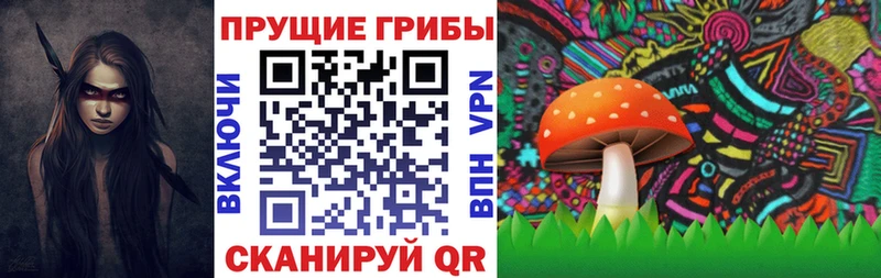 Псилоцибиновые грибы Cubensis Байкальск